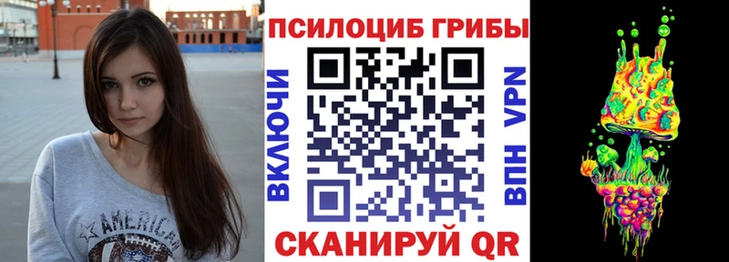 Купить  Калязин  Галлюциногенные грибы мицелий 